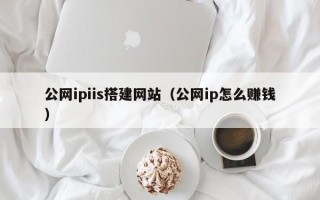 濮阳公网ipiis搭建网站（公网ip怎么赚钱）