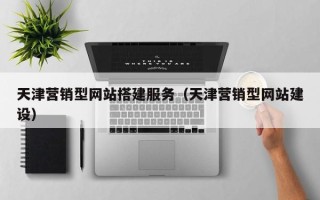 濮阳天津营销型网站搭建服务（天津营销型网站建设）